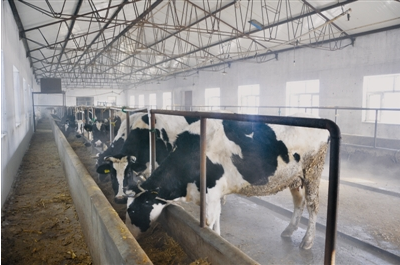 黑龍江齊齊哈爾富?？h光明乳業(yè) 一拖三加一 恒壓供水設備